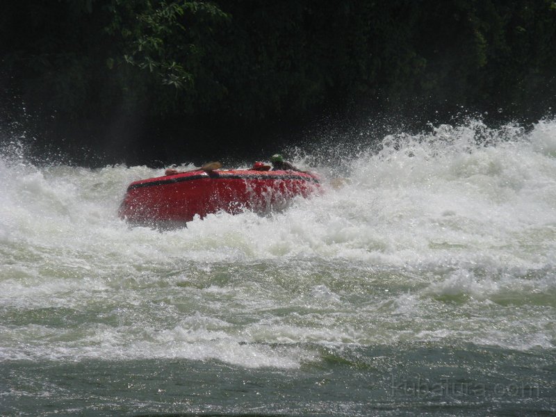 670 658 IMG_2782.jpg